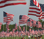 3000 flags wave proudly at Kennesaw Mountain commemorating those that died on Sept 11, 2001