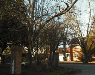 Sample Panoramic Image